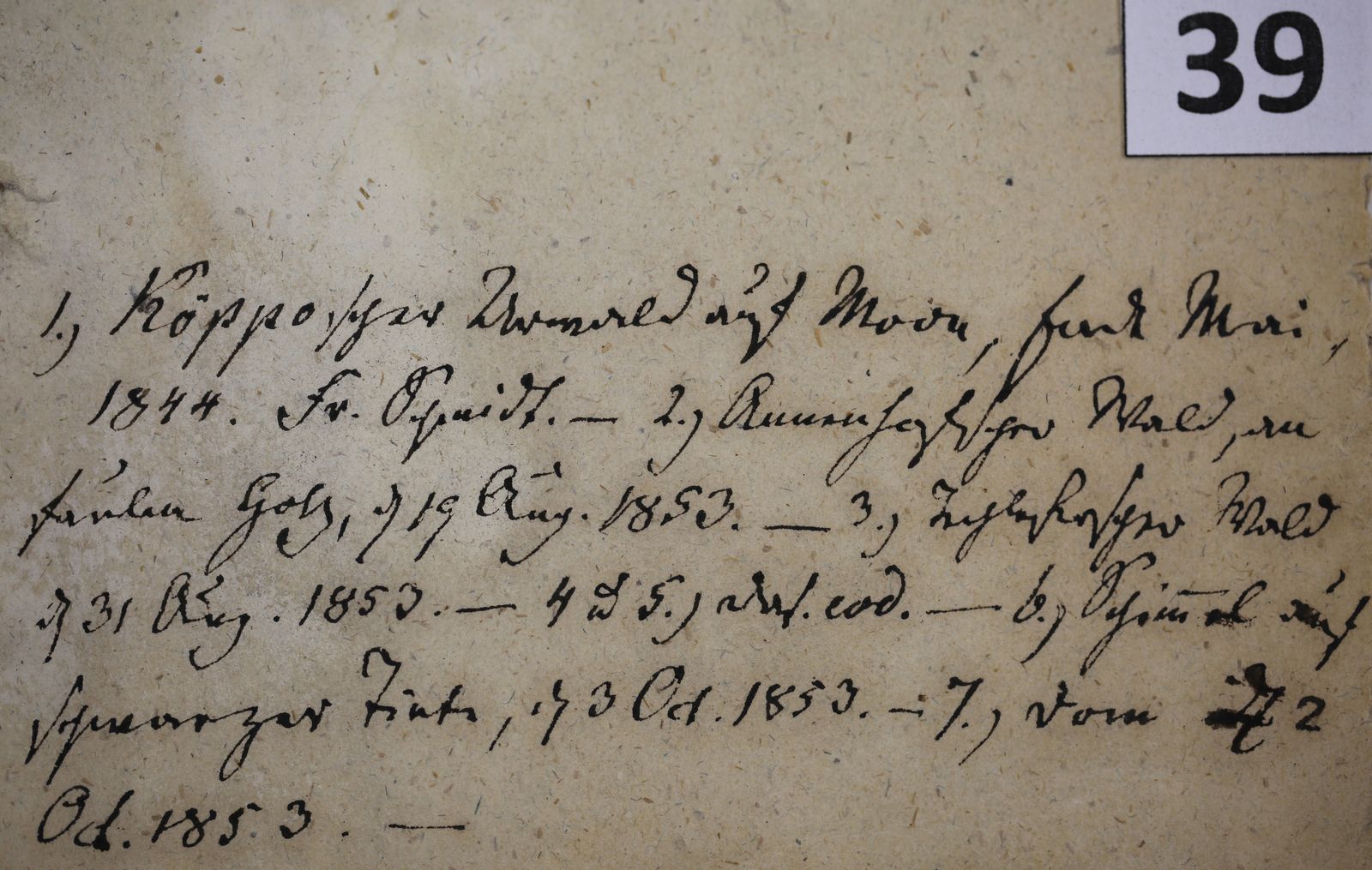 Lentinus substrictus