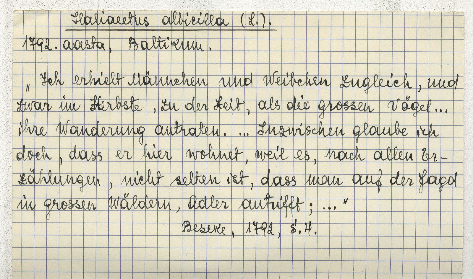 Haliaeetus albicilla