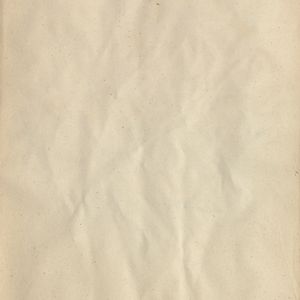 Aster tripolium subsp. tripolium