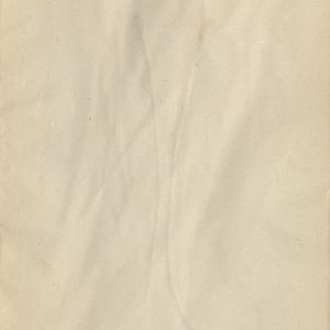 Carex elata subsp. elata