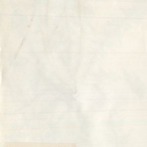 Taraxacum curvilobatum