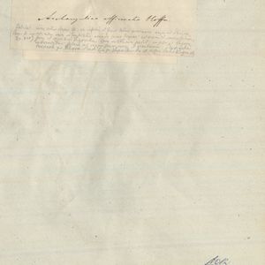 Angelica archangelica subsp. archangelica